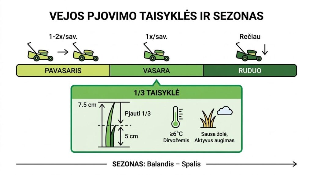 Vejos mulčiavimo kalendorius ir 1/3 taisyklė – kada ir kaip dažnai mulčiuoti veją pagal sezoną
