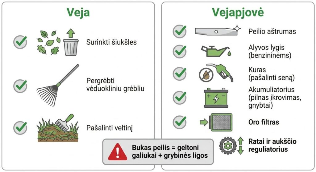 Vejapjovės ir vejos paruošimo patikros sąrašas prieš pirmąjį pavasarinį pjovimą

