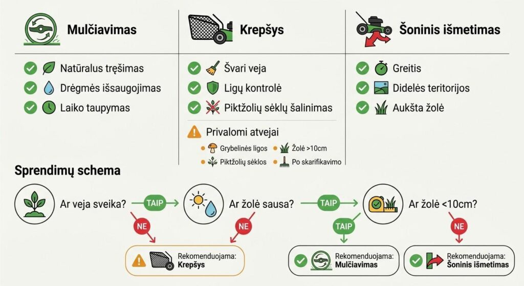 Vejos mulčiavimo, žolės surinkimo ir šoninio išmetimo palyginimas – kurį pjovimo būdą rinktis
